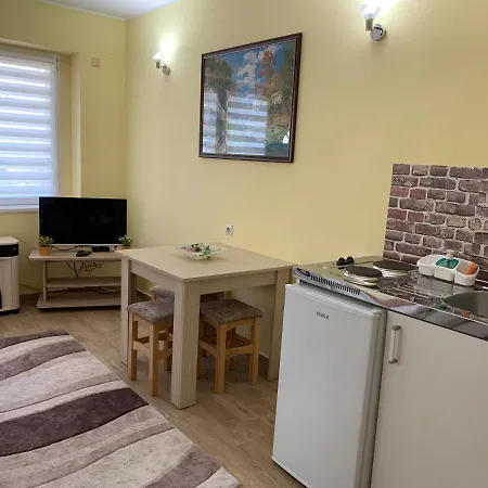 Apartman Garsonjera Dunja Novi Sad