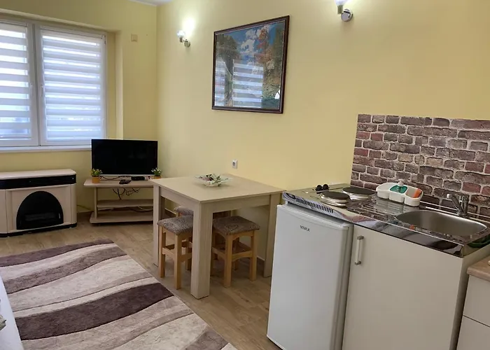 Apartment Garsonjera Dunja Novi Sad
